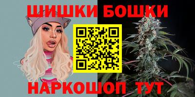 гидра Кингисепп