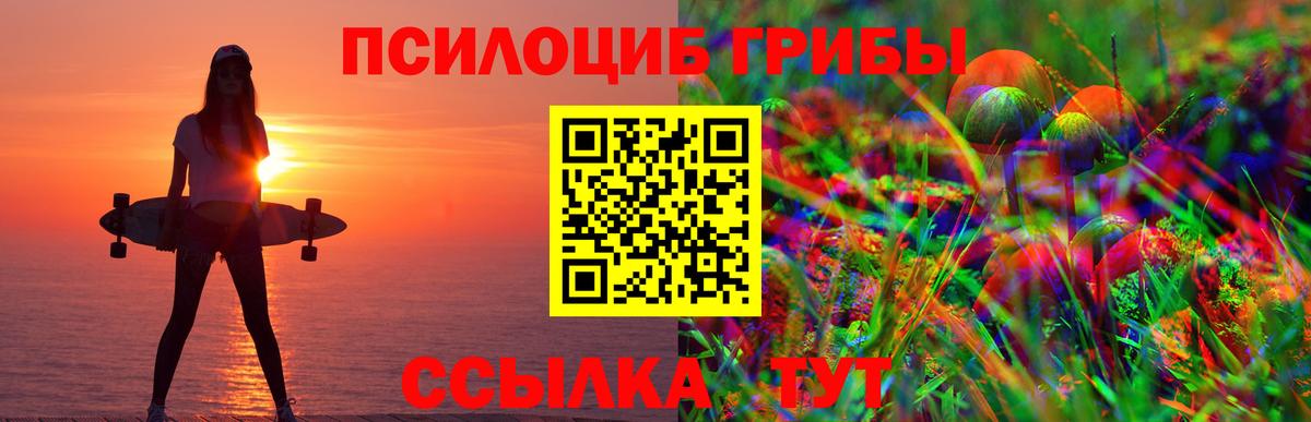 Псилоцибиновые грибы GOLDEN TEACHER Всеволожск